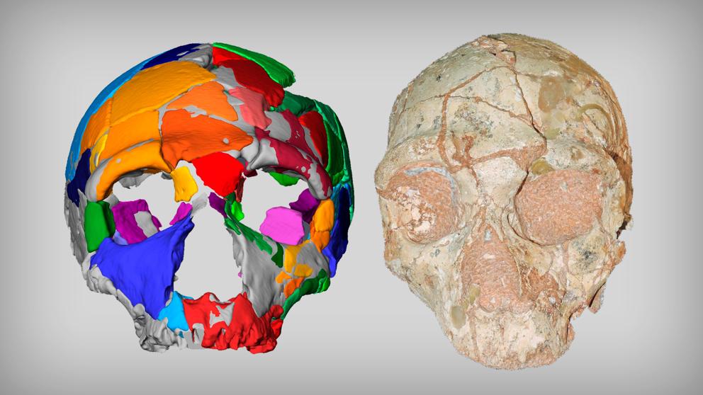 Hallan los restos de 'Homo Sapiens' 💀 más antiguos de Europa 🇪🇺