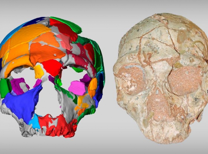 Hallan los restos de 'Homo Sapiens' 💀 más antiguos de Europa 🇪🇺