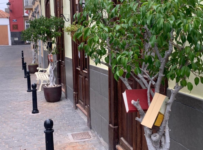 La calle donde 'crecen' libros 📚 en los árboles 🌳