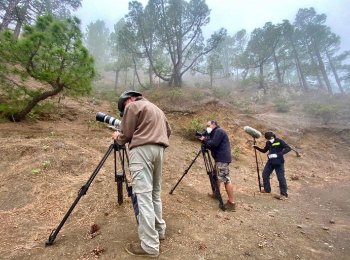 Los rodajes 🎬 vuelven a La Palma con un documental 🎥 y dos spot publicitarios 🛍