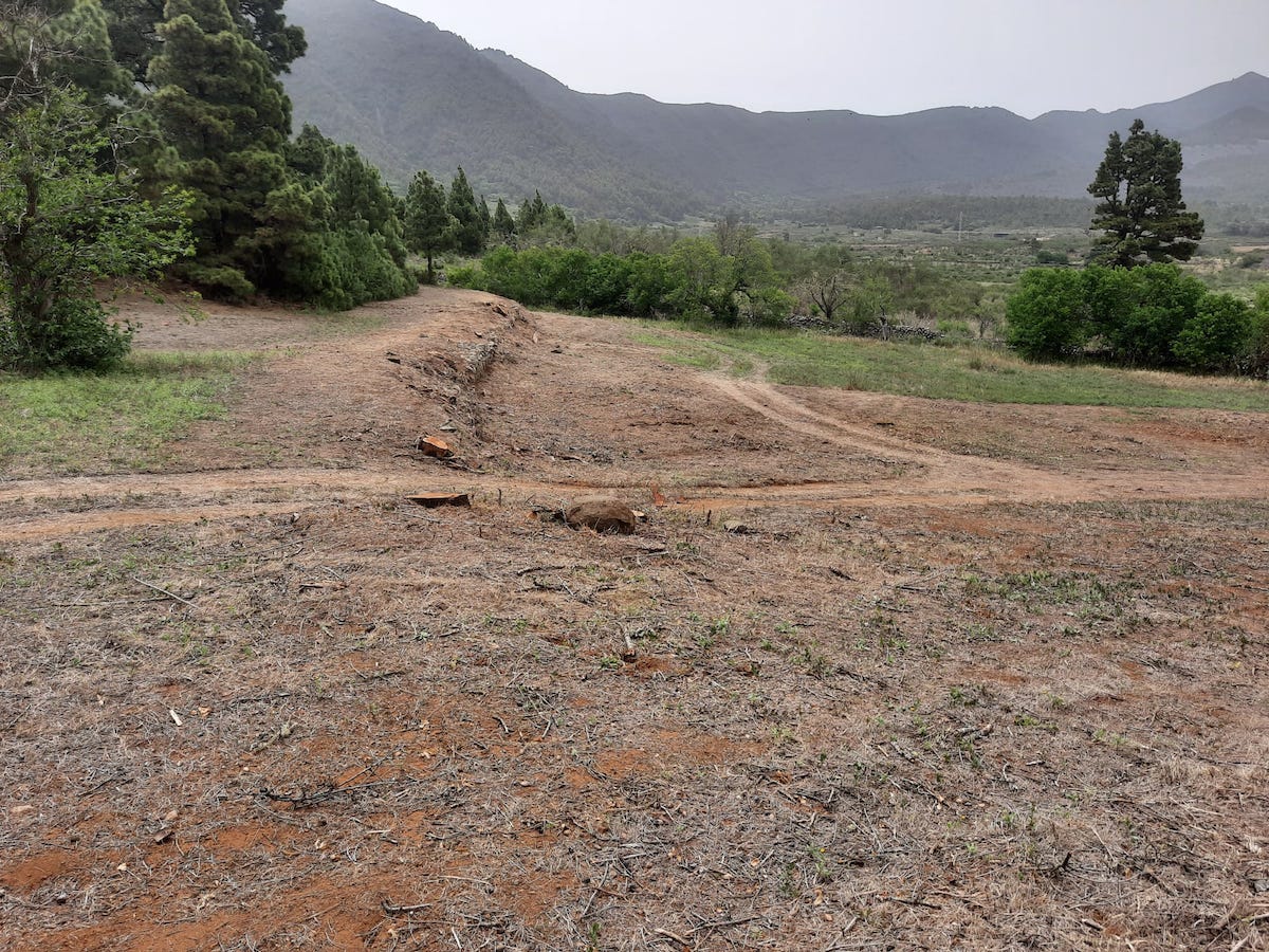 ⛰️ La Hacienda del Pino🌲, en donde viven todas las variedades de almendros 🌰