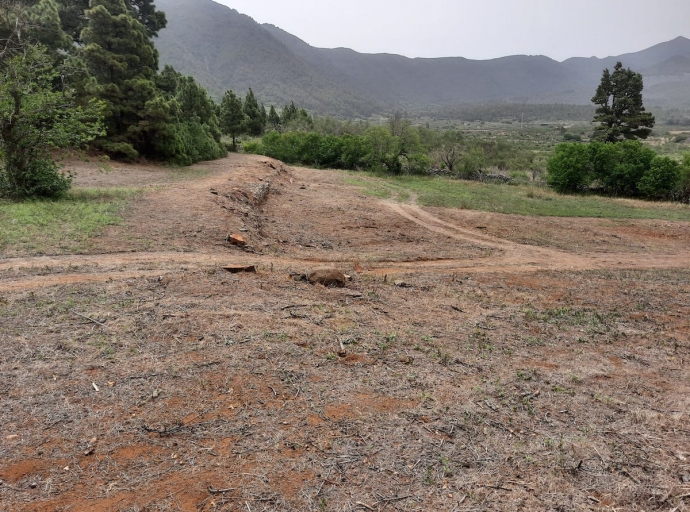 ⛰️ La Hacienda del Pino🌲, en donde viven todas las variedades de almendros 🌰