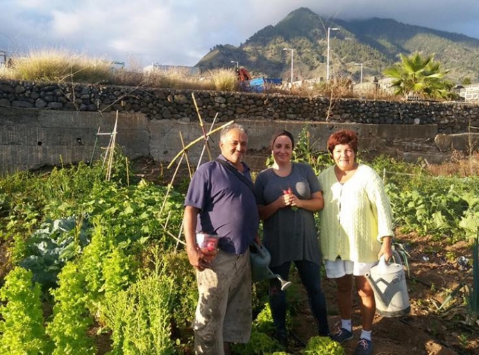 Los huertos 🚜 urbanos públicos de Los Llanos alimentarán 👨‍🌾 a más de 50 familias 🌾