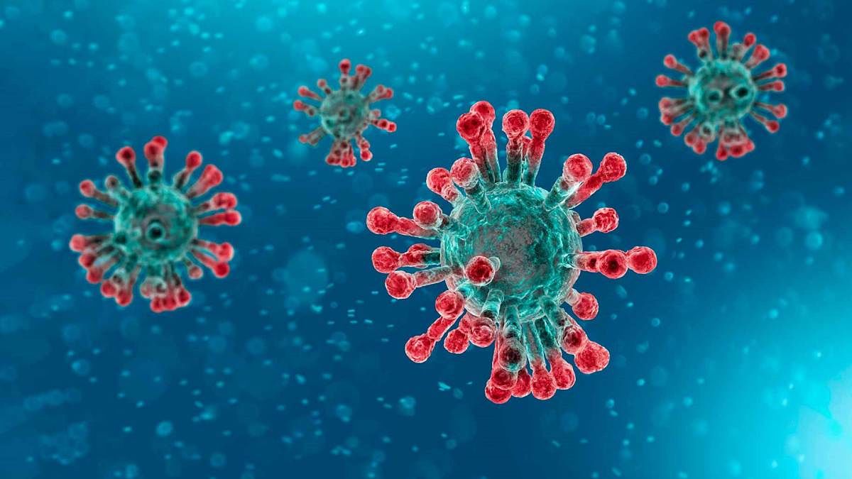 Hallan un nuevo punto débil del coronavirus🦠 capaz de disminuir los contagios👏😃