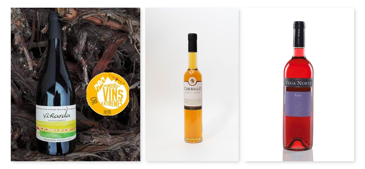 Los vinos de La Palma🍷🍇 también ‘se salen’ 🥇en tiempos de pandemia 👏
