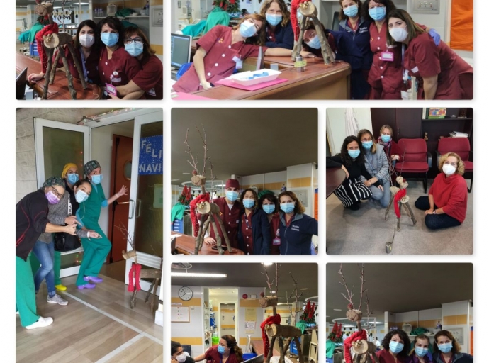 Rudolph 😍, el reno de madera que ha devuelto la sonrisa 😂 a los sanitarios palmeros👩‍⚕️👨‍⚕️