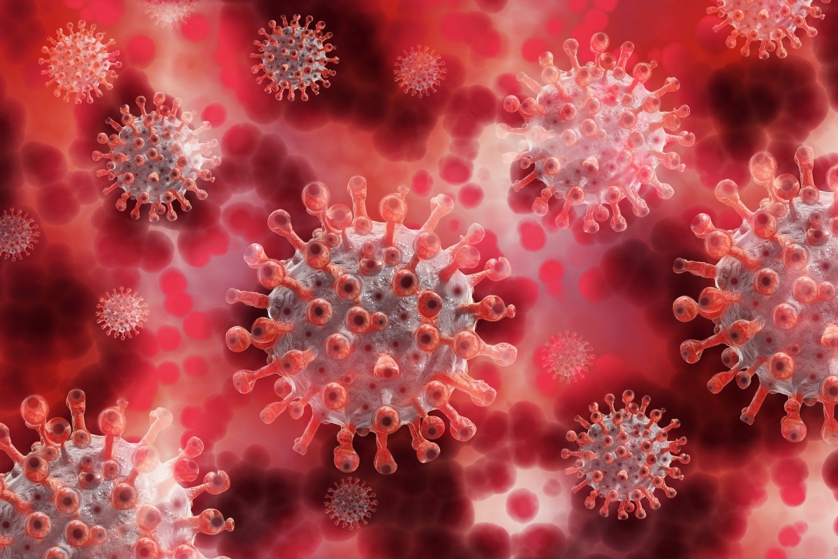 Descubren 👨‍🔬 lo que podría ser el talón de Aquiles 🦶 del coronavirus 🦠