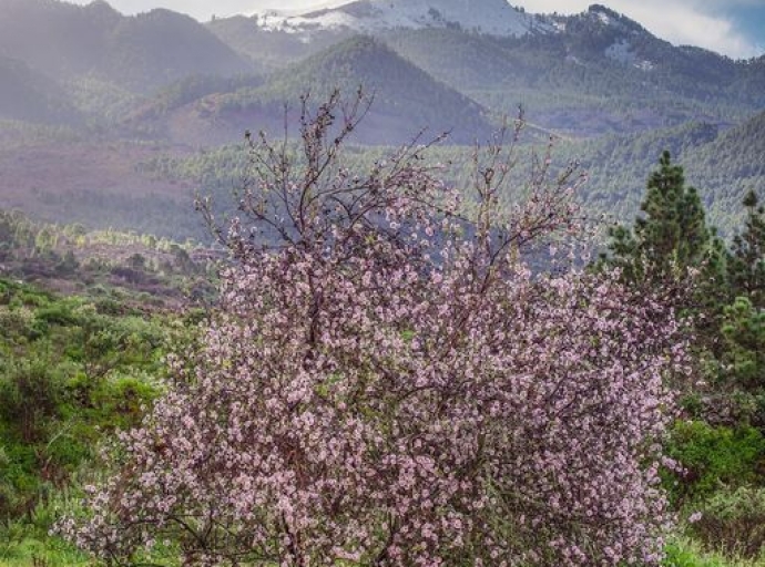 Si el 🕊️ EDÉN 🌸 existió, sería algo así 🏔️