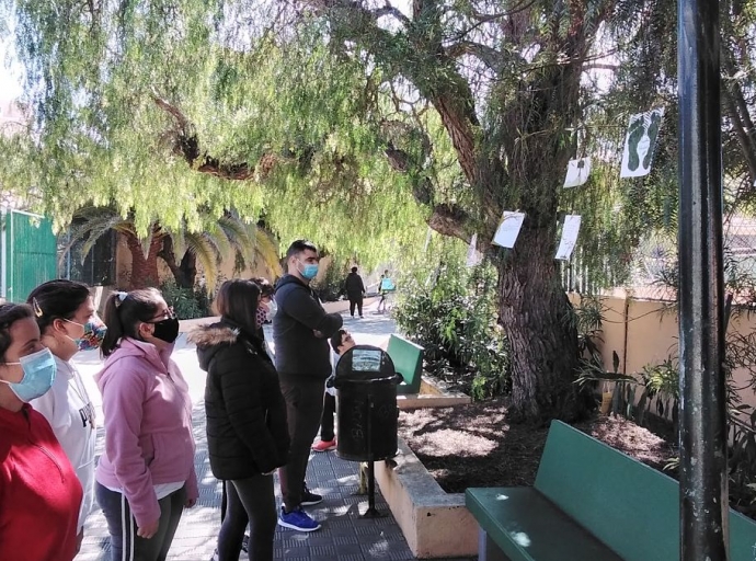 La creatividad de los alumnos del aula enclave🧑👧  del Pérez Pulido vuelve por el Día del Árbol🌳🌲