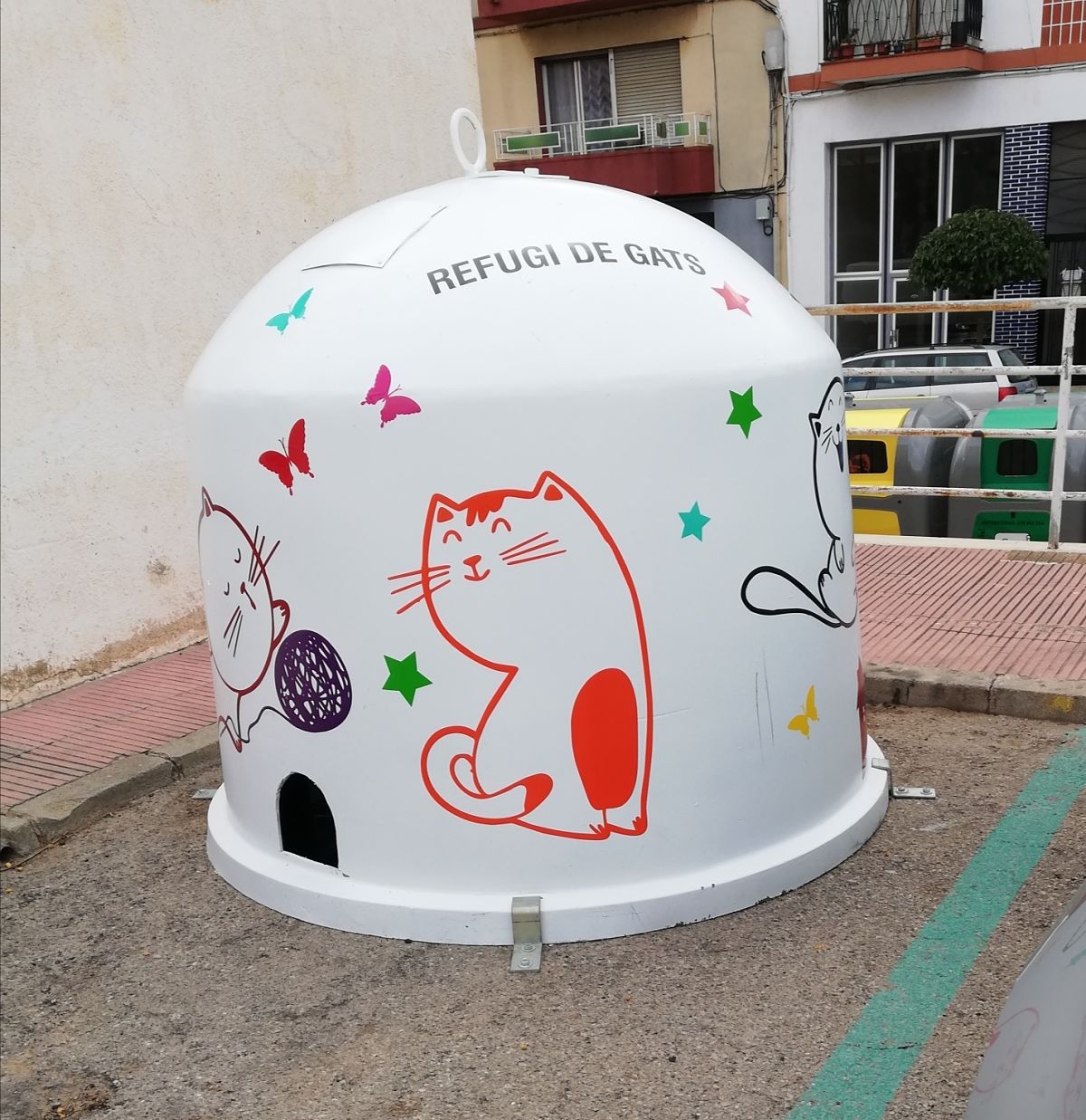 👏Refugios para dignificar la vida de los 🐈gatos callejeros 😻