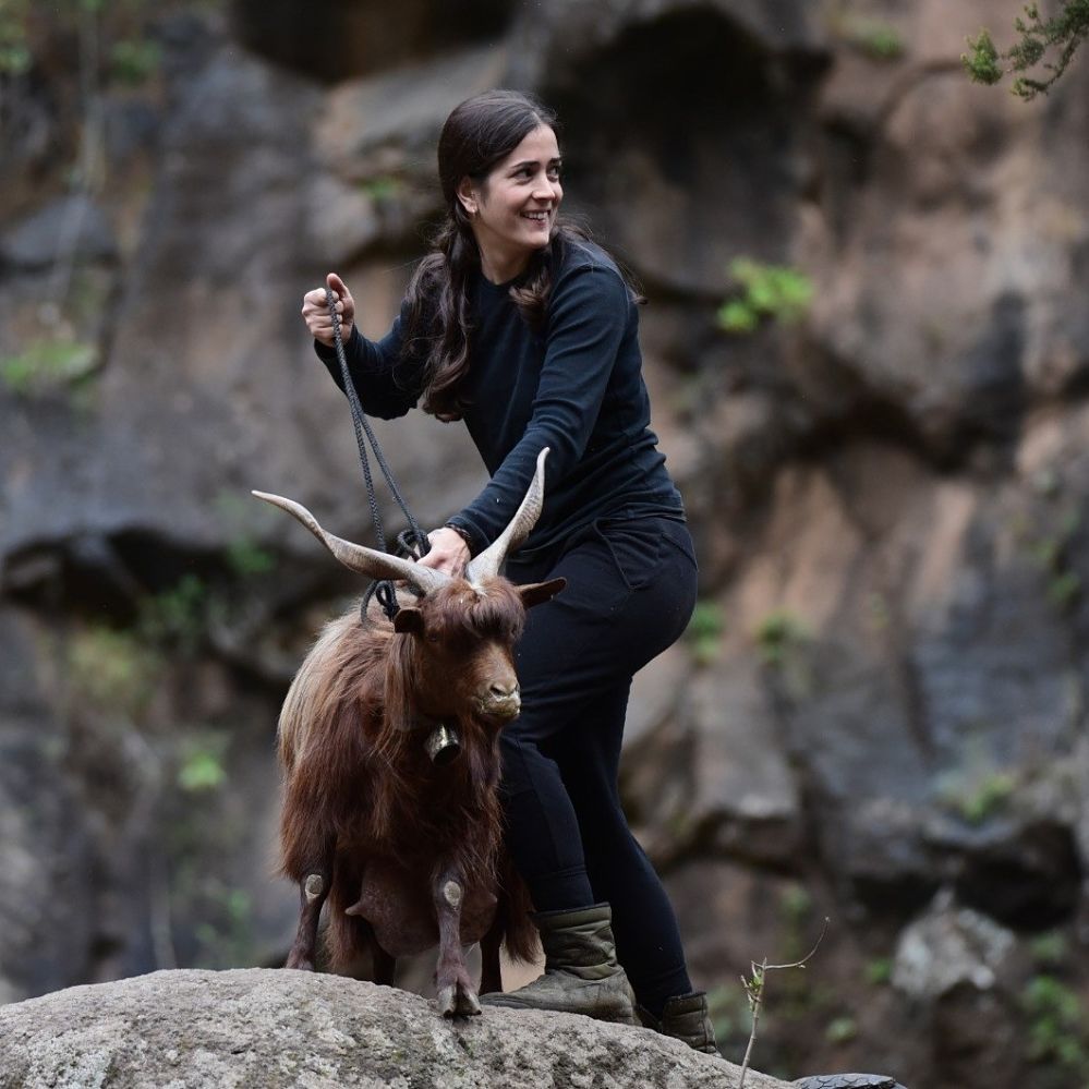 El 🧀🐐queso palmero también enamora❤ a National Geographic