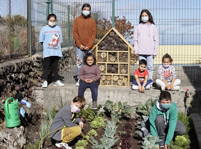  El Paso instala ‘Hoteles de Insectos’🐝🦋🦗 en los centros educativos👧👦