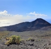 Medio Ambiente ♻️ realiza labores de restauración y acondicionamiento en el entorno del Teneguía 🌋