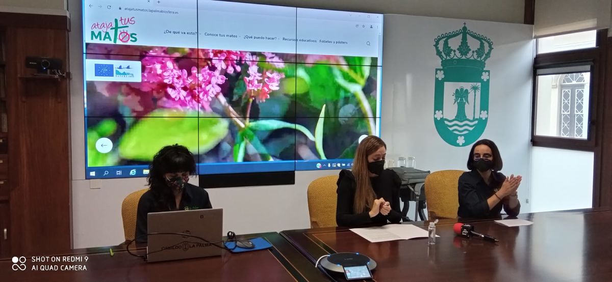 Ataja Tus Matos✂, la iniciativa que lucha contra las 🌾plantas invasoras🌿 en La Palma
