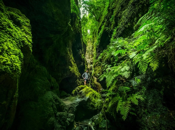 🌄La Palma y sus encantos😍 protagonistas en 'El Viajero de El País'📰