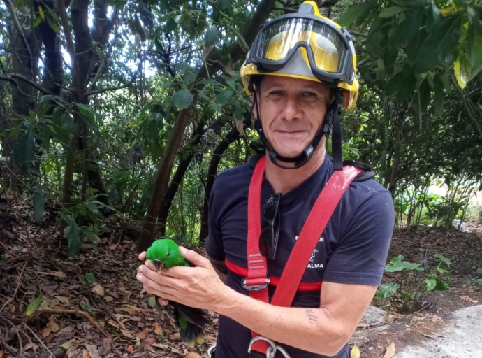 Los 👨🏻‍🚒👩🏻‍🚒Bomberos de La Palma también rescatan loros🦜 