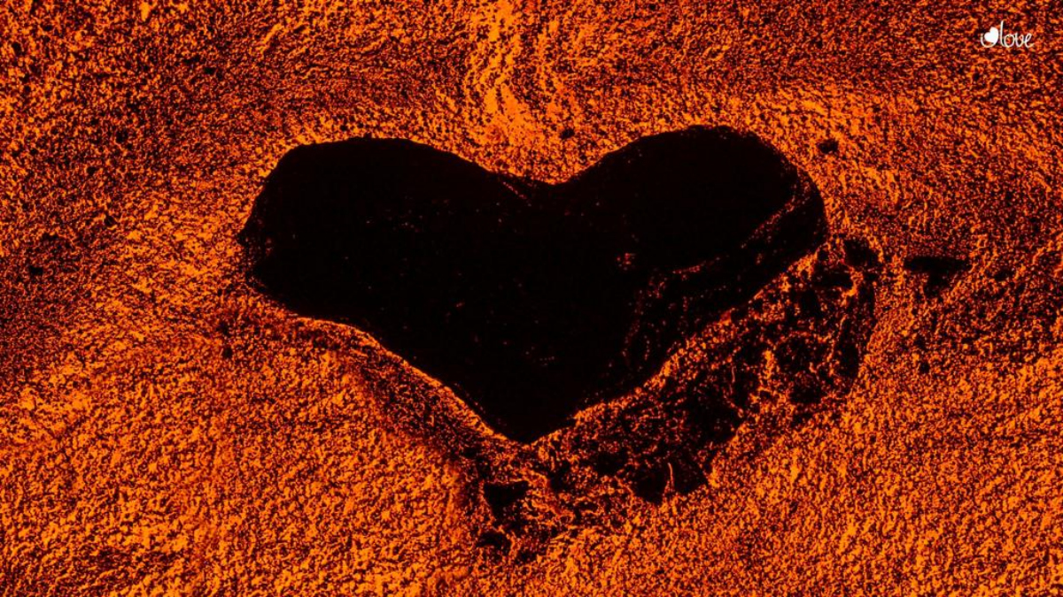 💓I Love The World💓 'se despide' de La Palma donando 145.762€ a Tierra Bonita